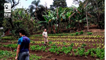 Horta Orgânica Semeando o Futuro | Jardim Ângela